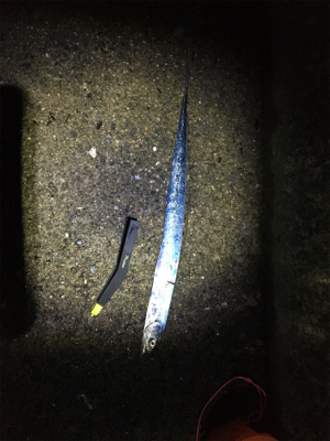 太刀魚がたべたくて