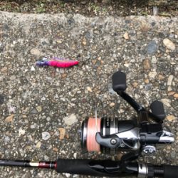 出勤前、約1時間半のエギング(^.^)