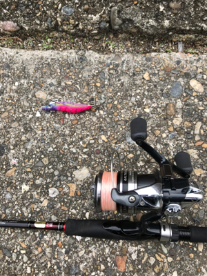 出勤前、約1時間半のエギング(^.^)