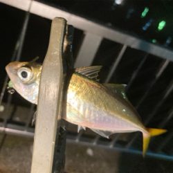 Fシステムアジング