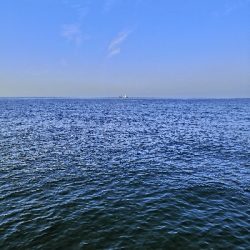 リベンジでメジロ2匹