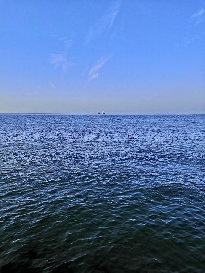 リベンジでメジロ2匹