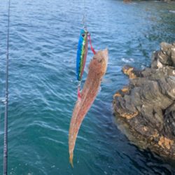 沼島の磯でエギング
