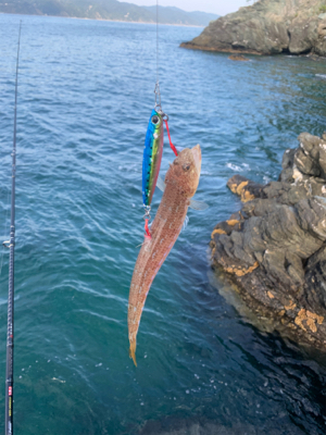 沼島の磯でエギング