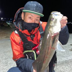 坊勢島の朝まずめ!青物ゲット♪GUNNING-STYLE