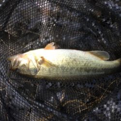 久々の布目ダム