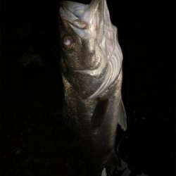 まあまあサイズ