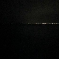 ラストの1投でメジロ