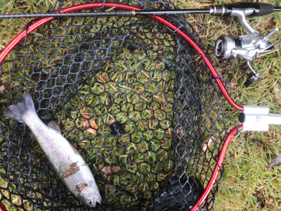 今季初トラウト