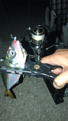 エギングのちアジング