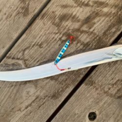 タチウオ再来襲