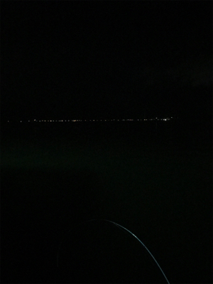 タチウオ とエギング