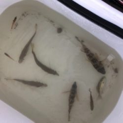 風が強くてつらい