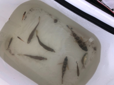 風が強くてつらい