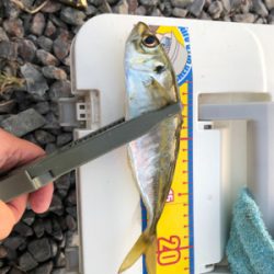 渋い中なんとかでした