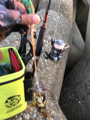 寒くて渋いエギングσ(^_^;)