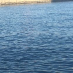 サバサバサバサバ