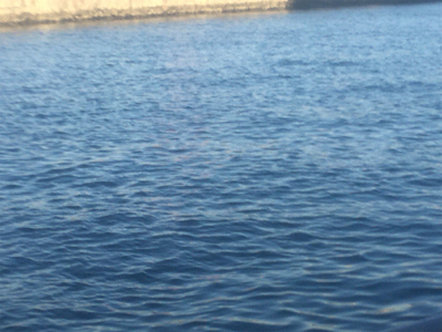 サバサバサバサバ