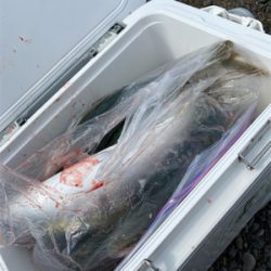 ゴールデンタイム♪