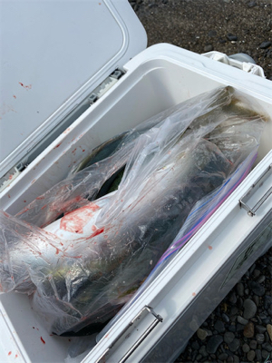 ゴールデンタイム♪