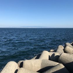 ハマチ！2020ライトゲーム第30戦