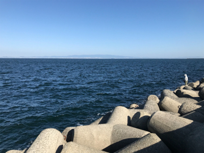 ハマチ！2020ライトゲーム第30戦