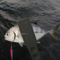 メッキポンポン