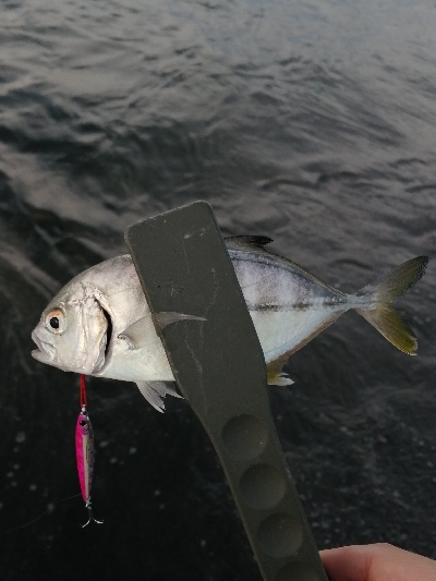 メッキポンポン