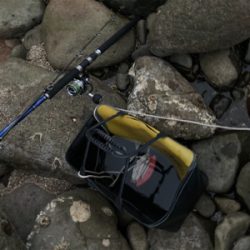 朝マズメのヒラスズキ狙いで、3本ゲット！！