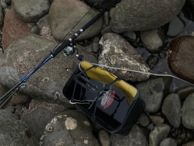 朝マズメのヒラスズキ狙いで、3本ゲット！！