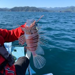 アカハタ狙いボート釣行