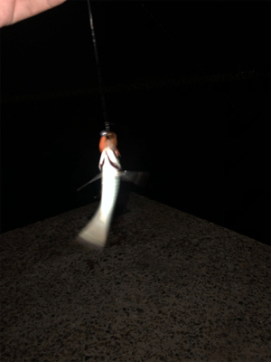 旅行先でチョイアジング