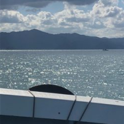 久しぶりの筏に❗️