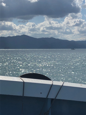 久しぶりの筏に❗️