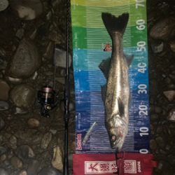 前回に続きd(^_^o)