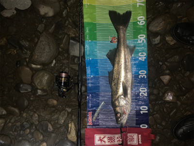 前回に続きd(^_^o)