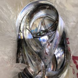 千田漁港サイコー！！