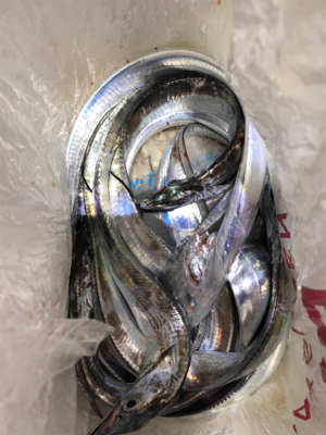 千田漁港サイコー！！