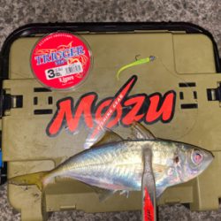 常夜灯　ボトムドリフト