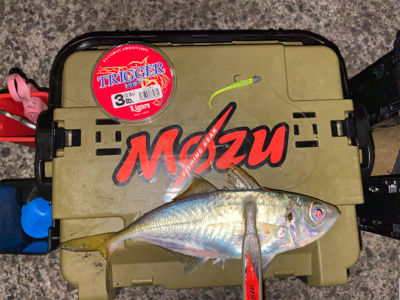 常夜灯　ボトムドリフト