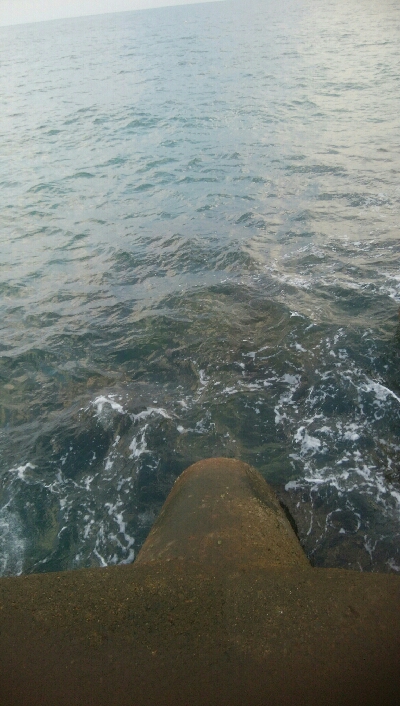 障泥烏賊4杯　チビハタ1匹