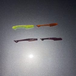 久々のデカメバル♪