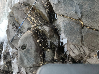 季節は秋でも、まだエソ祭り！！