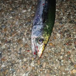 ランガンでズドン