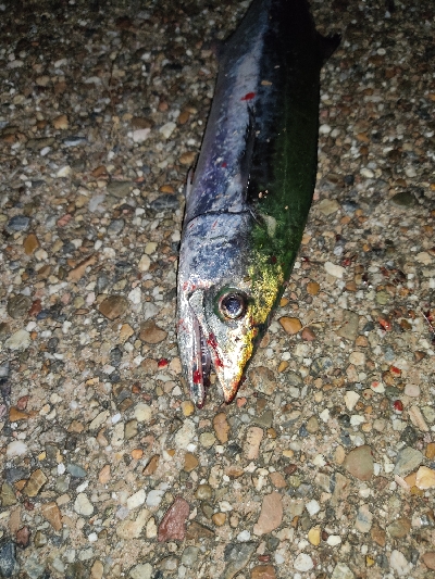 ランガンでズドン