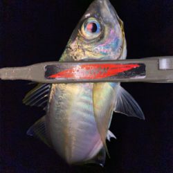 違和感で掛ける