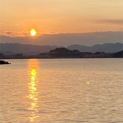 いいサイズになってきた♪