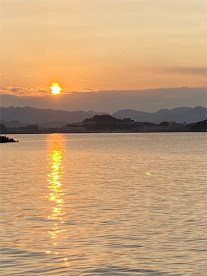 いいサイズになってきた♪