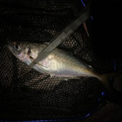 フロートアジング