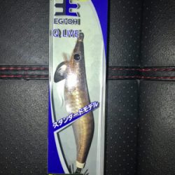 エギングなのに…タコングσ(^_^;)